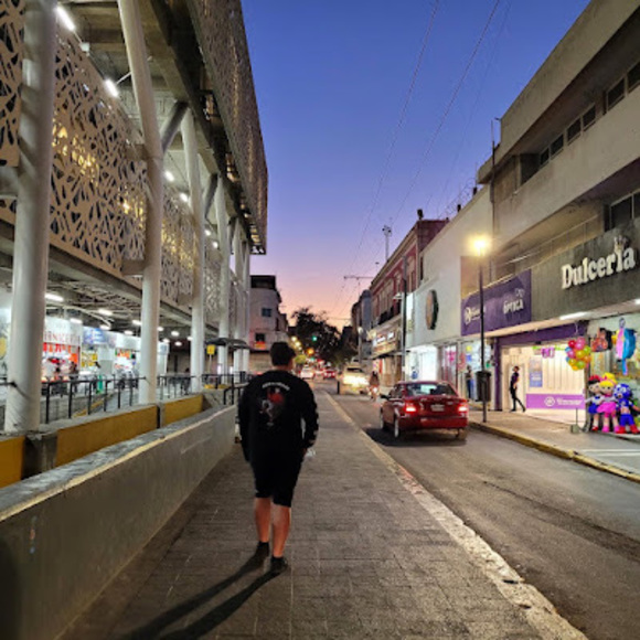 Meet your Posher, Eli - Picture 1 of 1